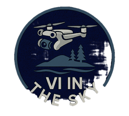 VI in the SKY